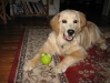 20090420 Spring 037